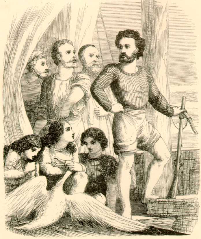 illustration
