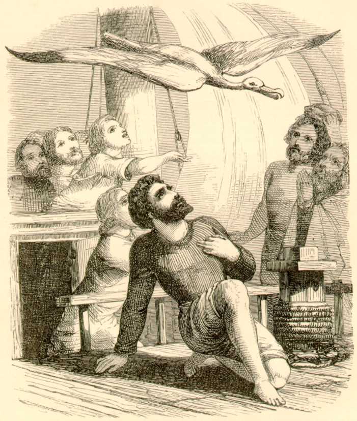 illustration