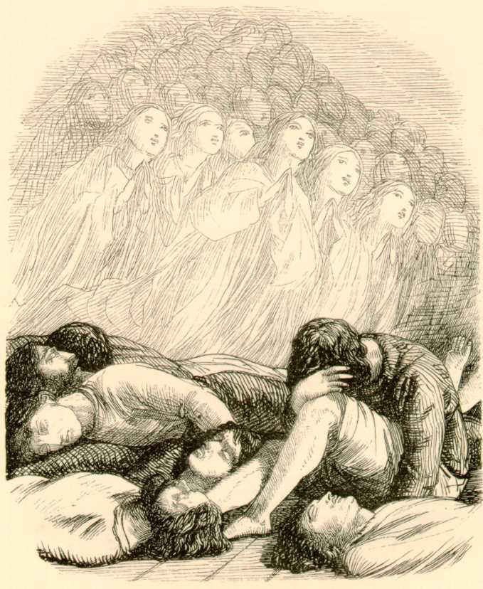 illustration