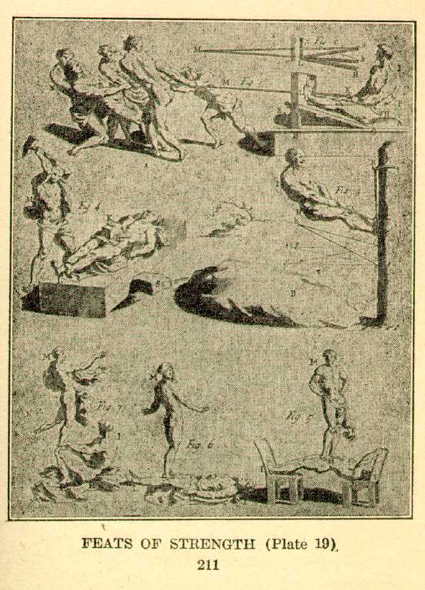 illustration