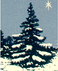 Christmas Cards