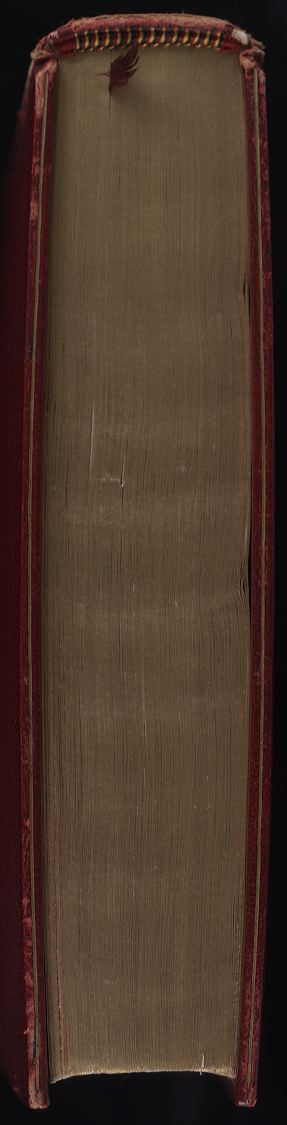 0005_tail.jpg